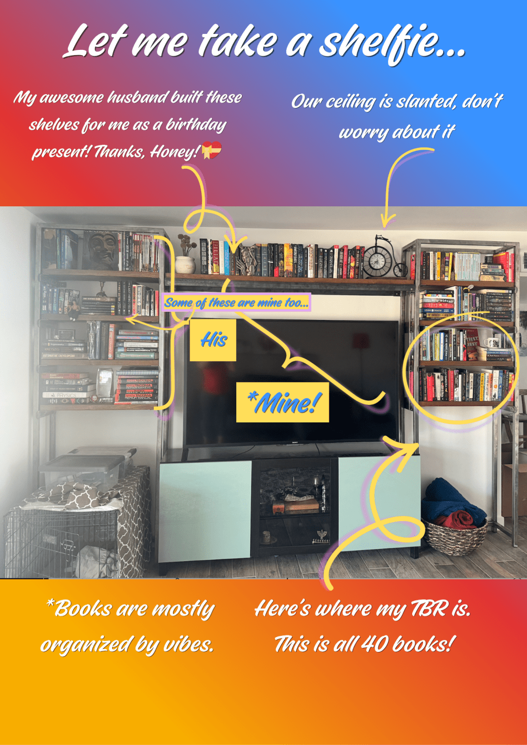 The Official Shelfies
